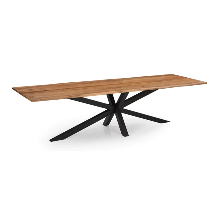 Spireon Solid Wood Rectangle 8 Seater Dining Table With Black Metal Legs