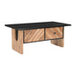 Zaritha Solid Wood 2 Drawer Coffee Table - RadiantFurn